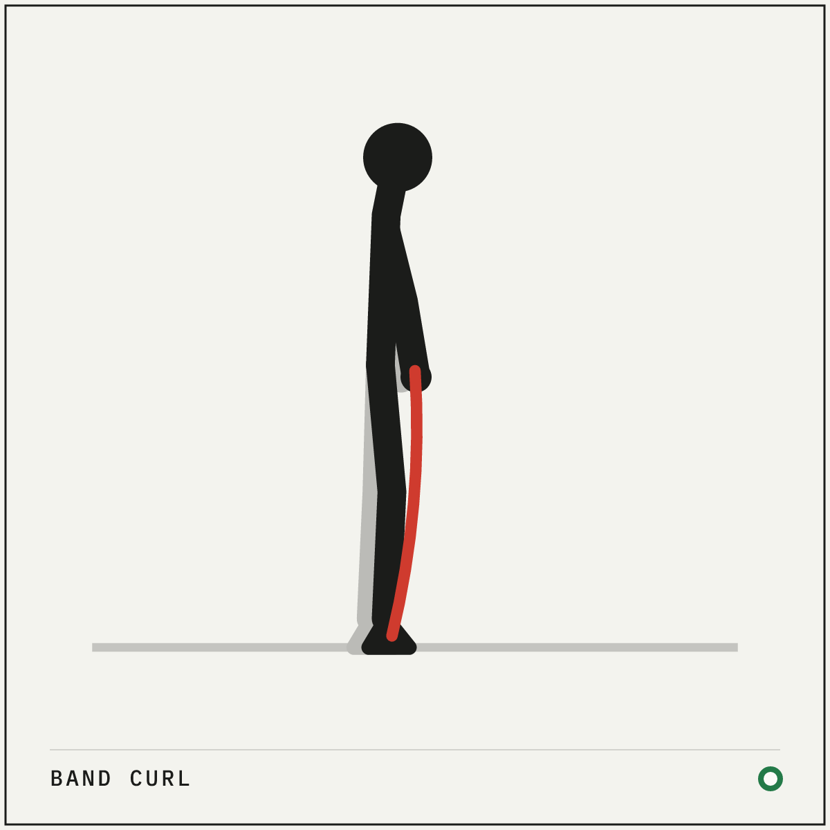 Band curl demonstration figure: Stand on the middle of a band with your feet hip-width apart, an end in each hand, palms facing forward.