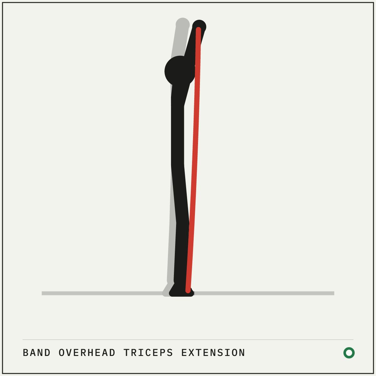 Band overhead triceps extension demonstration figure: Stand on the middle of a resistance band and hold an end in each hand.