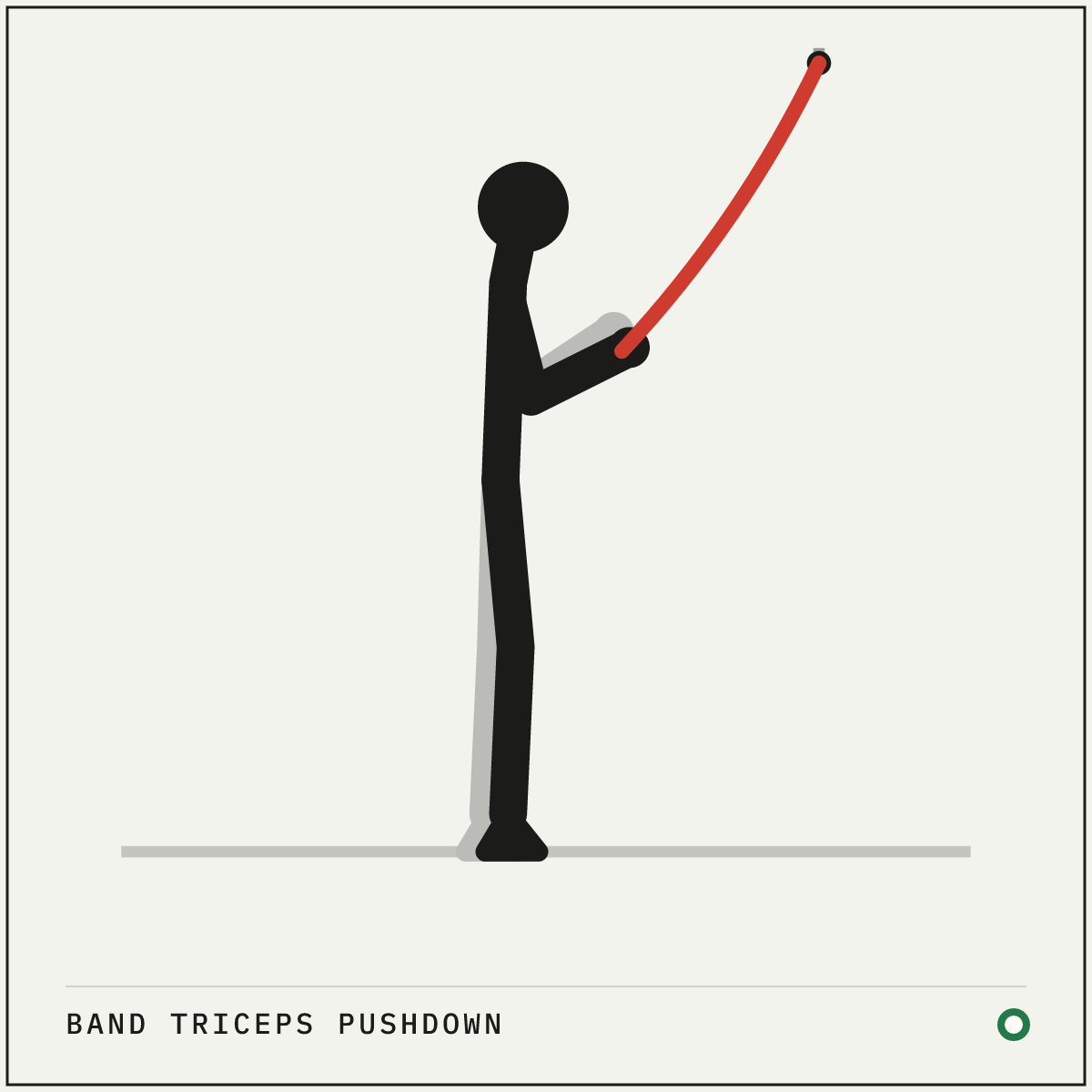 Band triceps pushdown demonstration figure: Anchor a band well above head height and take an end in each hand.