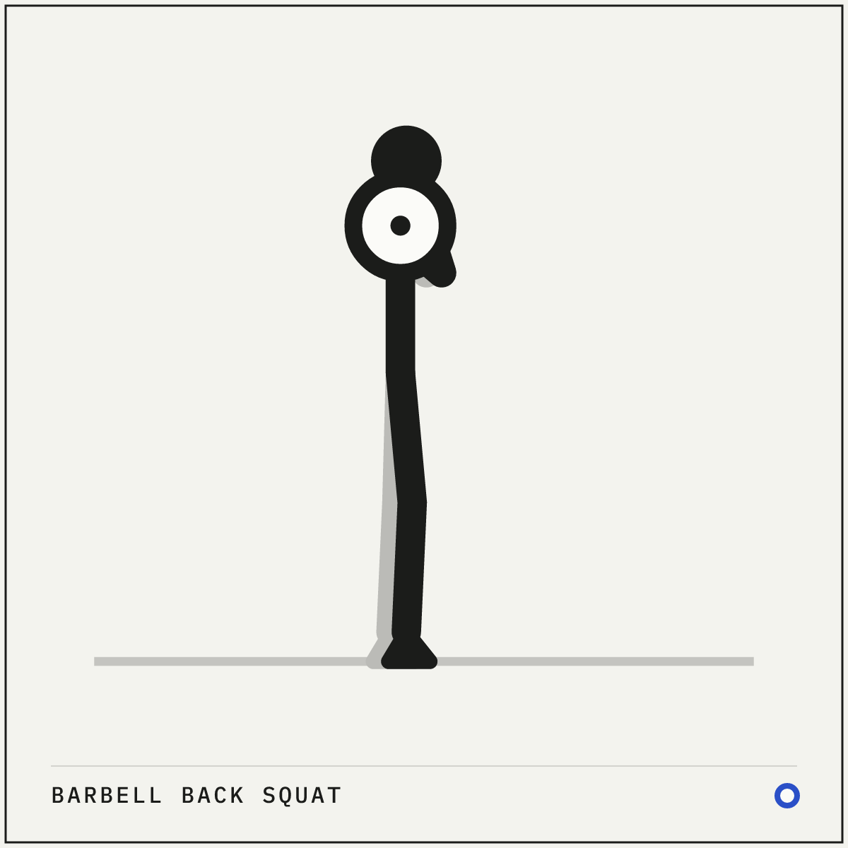 Barbell back squat demonstration figure: Set the bar on the muscle across your upper back, not on your neck.