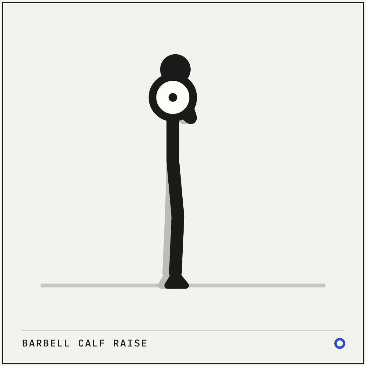 Barbell calf raise demonstration figure: Stand tall with the barbell resting across your upper back, gripping it outside your shoulders.