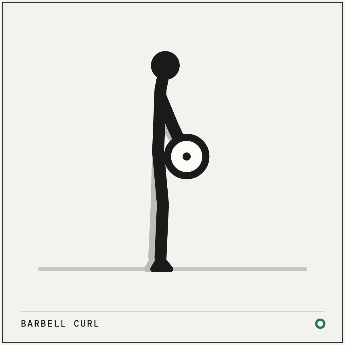 Barbell curl demonstration figure: Stand tall holding the bar against your thighs with an underhand grip at about shoulder width.