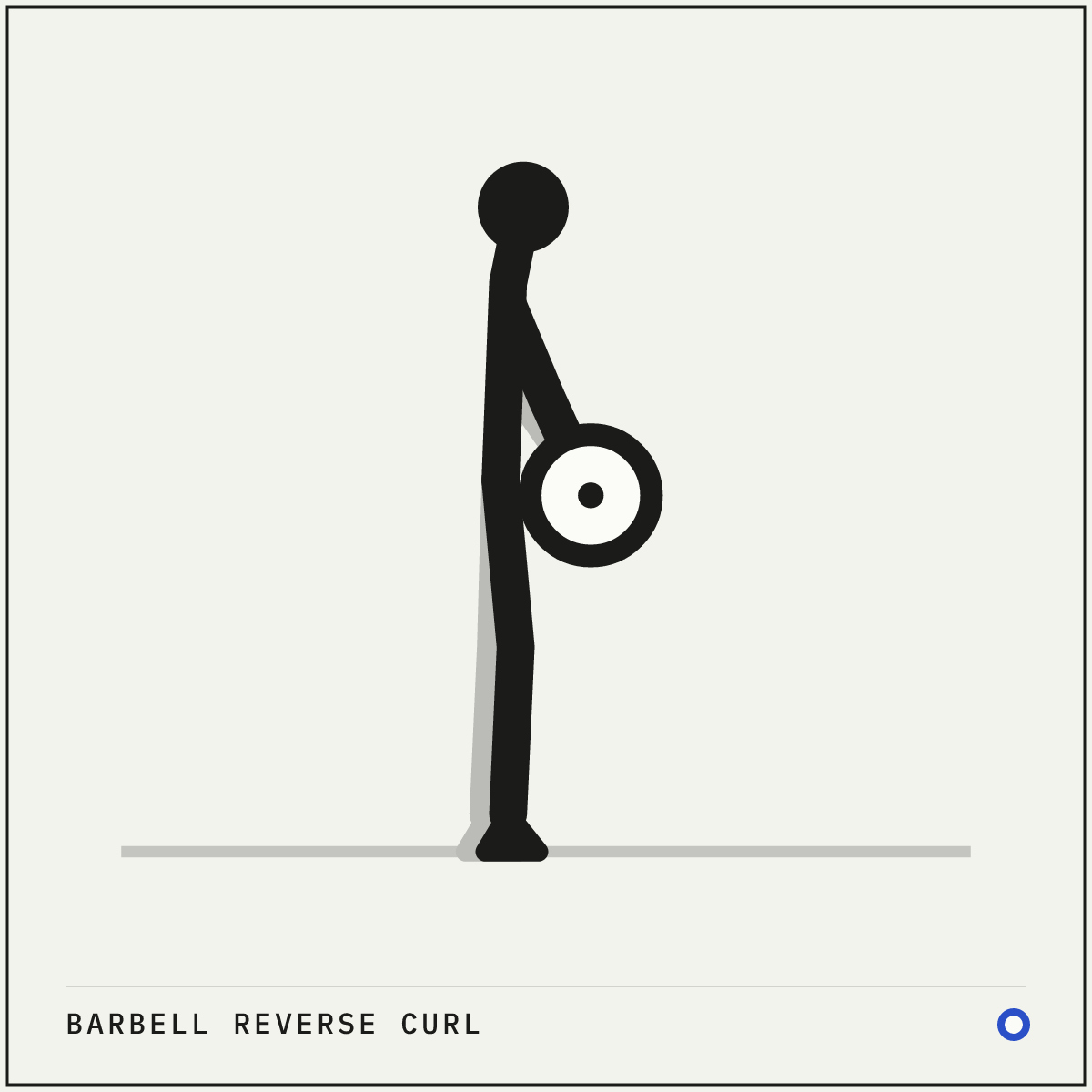 Barbell reverse curl demonstration figure: Stand tall holding the bar against your thighs with an overhand grip at about shoulder width.