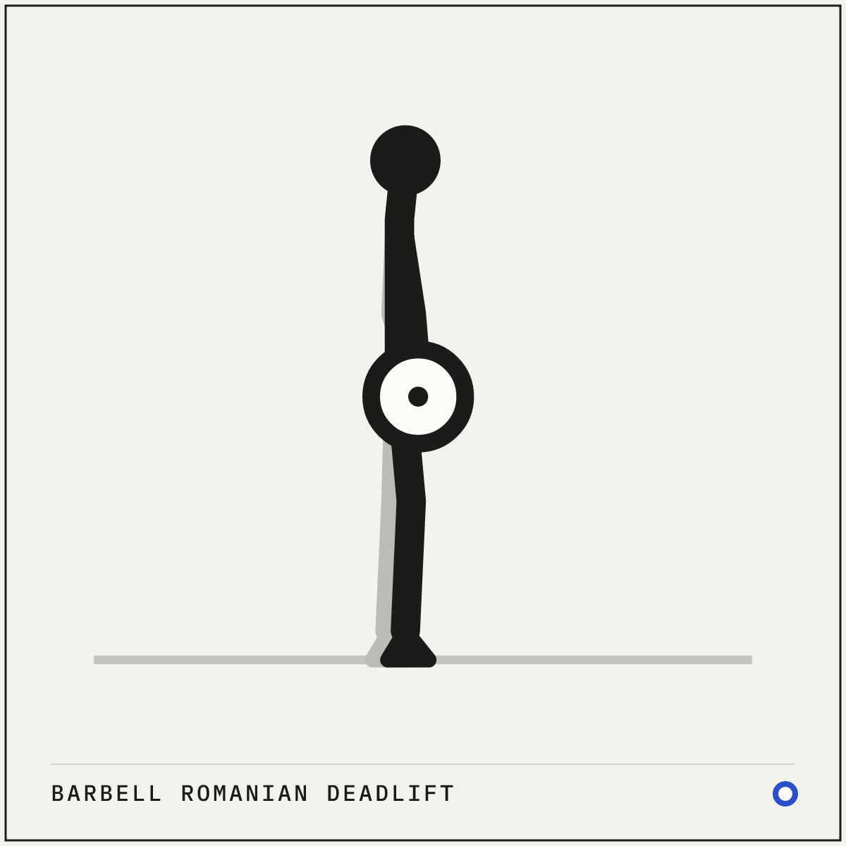 Barbell Romanian deadlift demonstration figure: Stand tall holding the bar against the front of your thighs with an overhand grip just outside your legs.