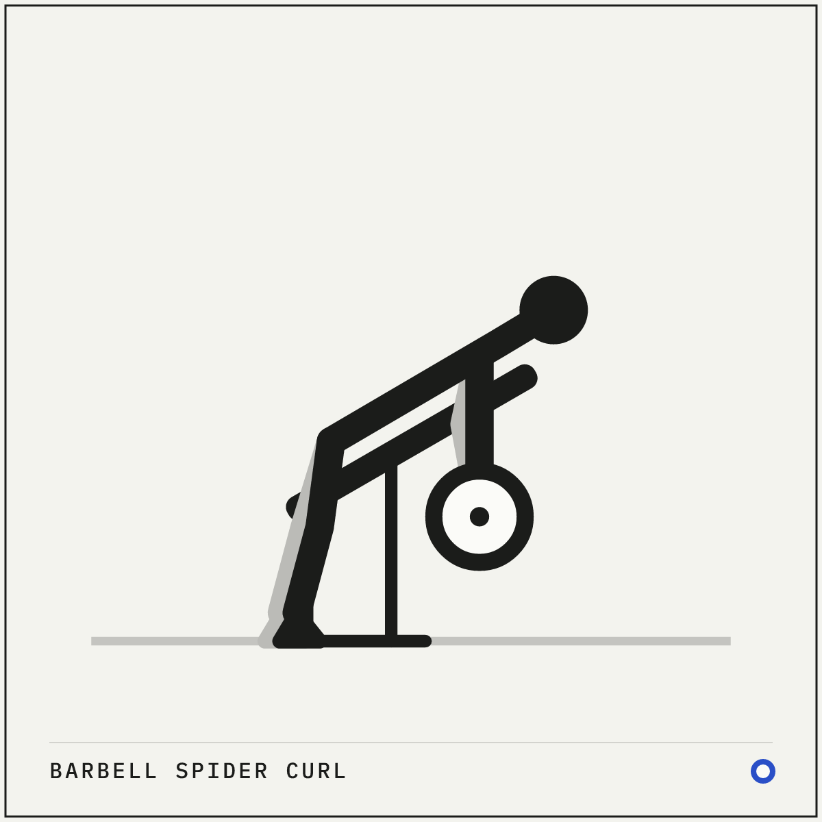 Barbell spider curl demonstration figure: Set a bench to about 45° and stand the barbell on the floor under the high end.