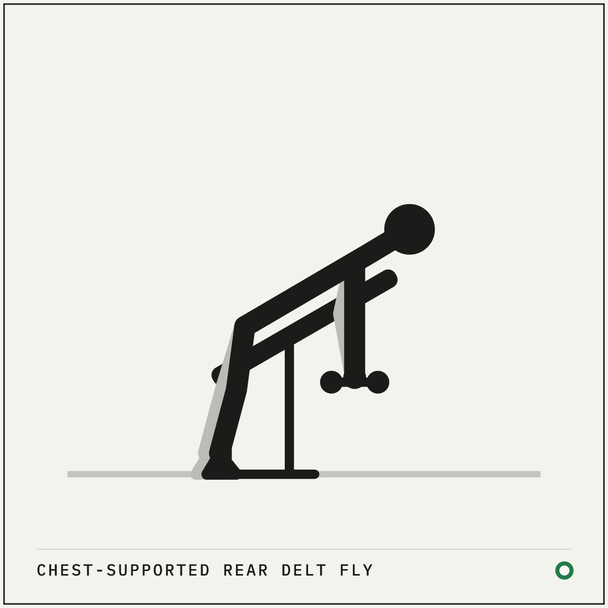 Chest-supported rear delt fly demonstration figure: Set a bench to a low incline and lie face down with your chest on the pad.