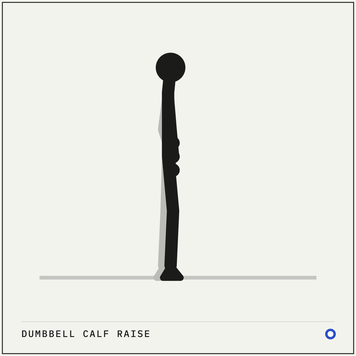 Dumbbell calf raise demonstration figure: Stand tall holding a dumbbell in each hand, arms hanging straight down at your sides.