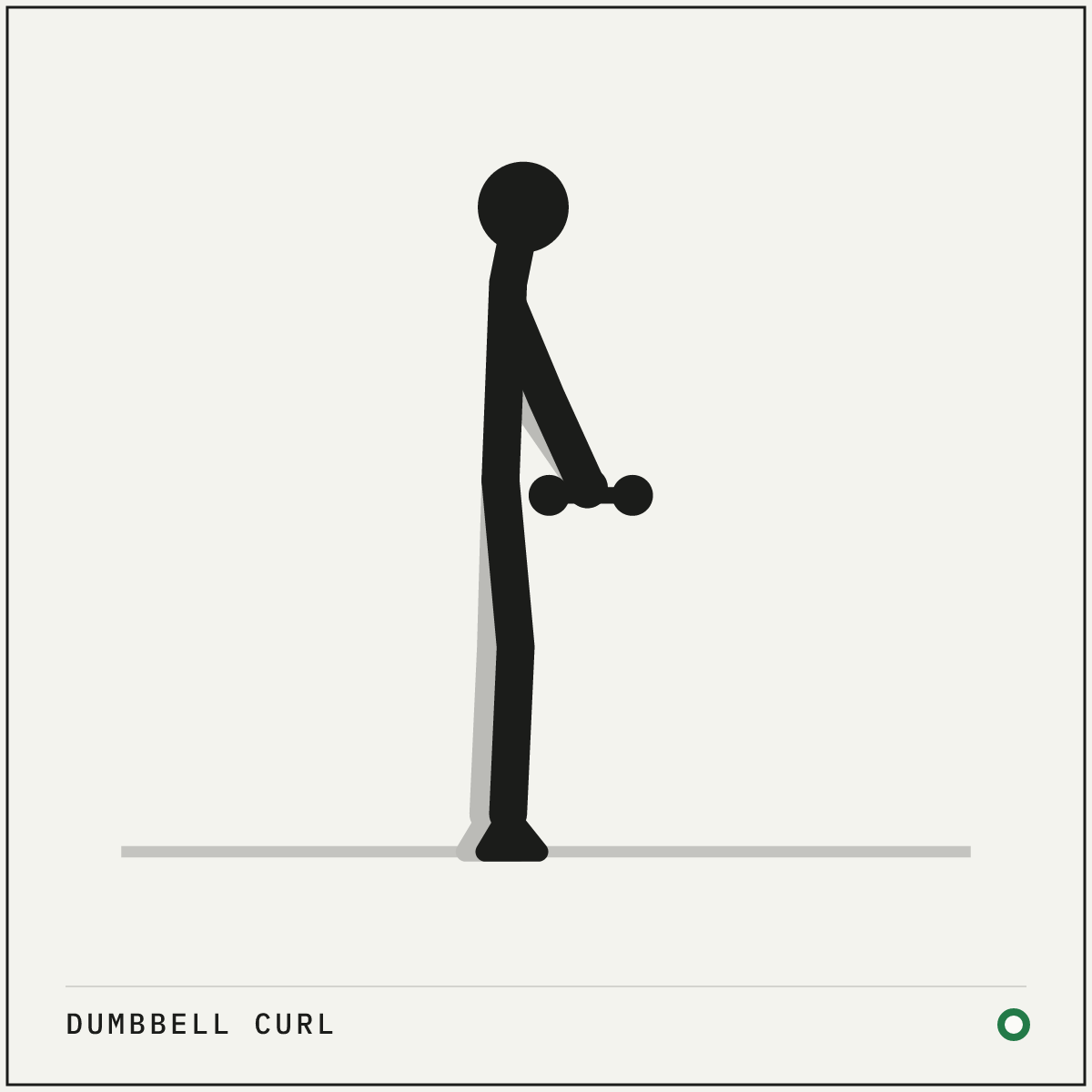 Dumbbell curl demonstration figure: Stand tall with a dumbbell in each hand and your palms facing forward.