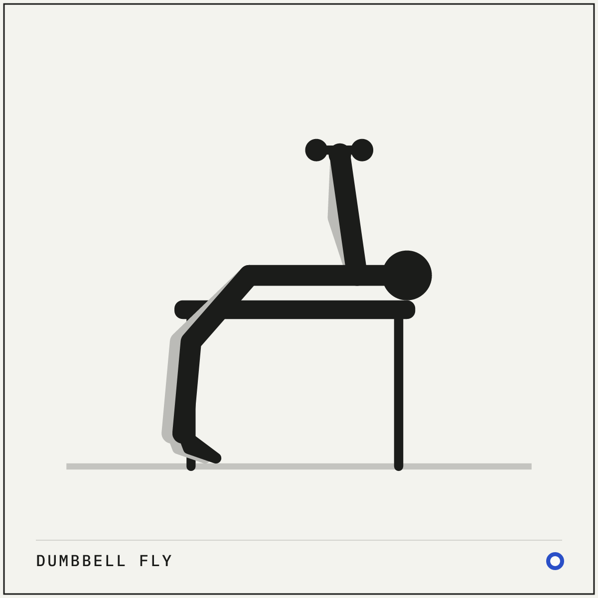 Dumbbell fly demonstration figure: Lie on a flat bench holding a dumbbell above your chest in each hand, palms facing each other.