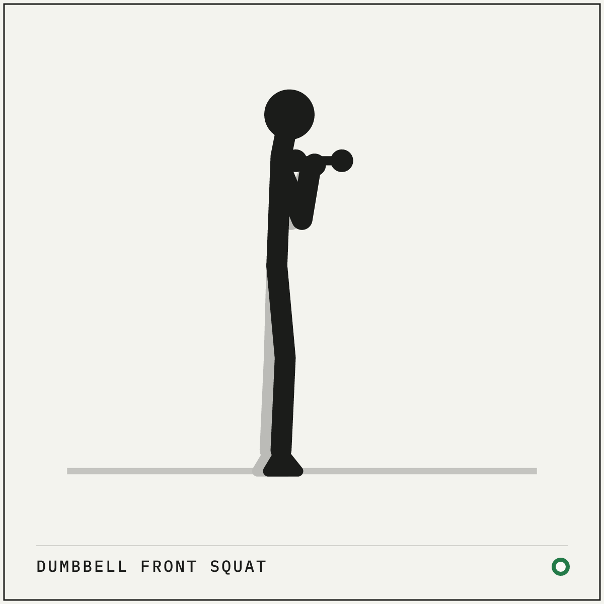 Dumbbell front squat demonstration figure: Bring a dumbbell up to each shoulder so it rests on the front of the shoulder, palms facing each other.