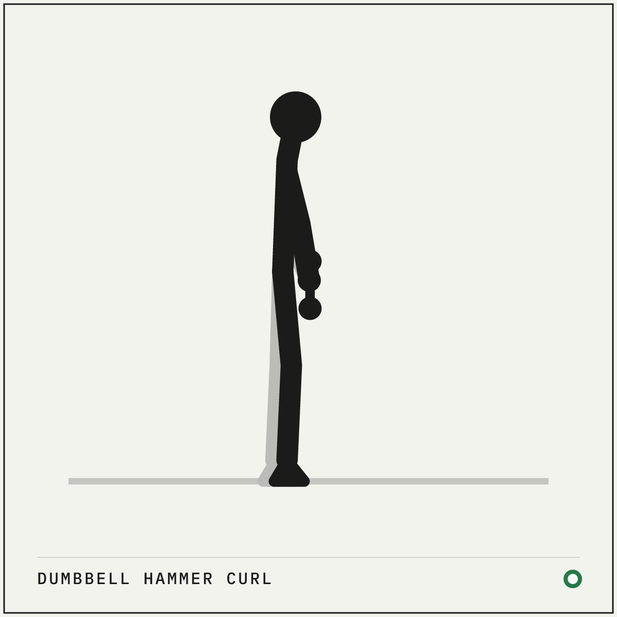 Dumbbell hammer curl demonstration figure: Stand tall with a dumbbell in each hand and your palms facing your thighs.