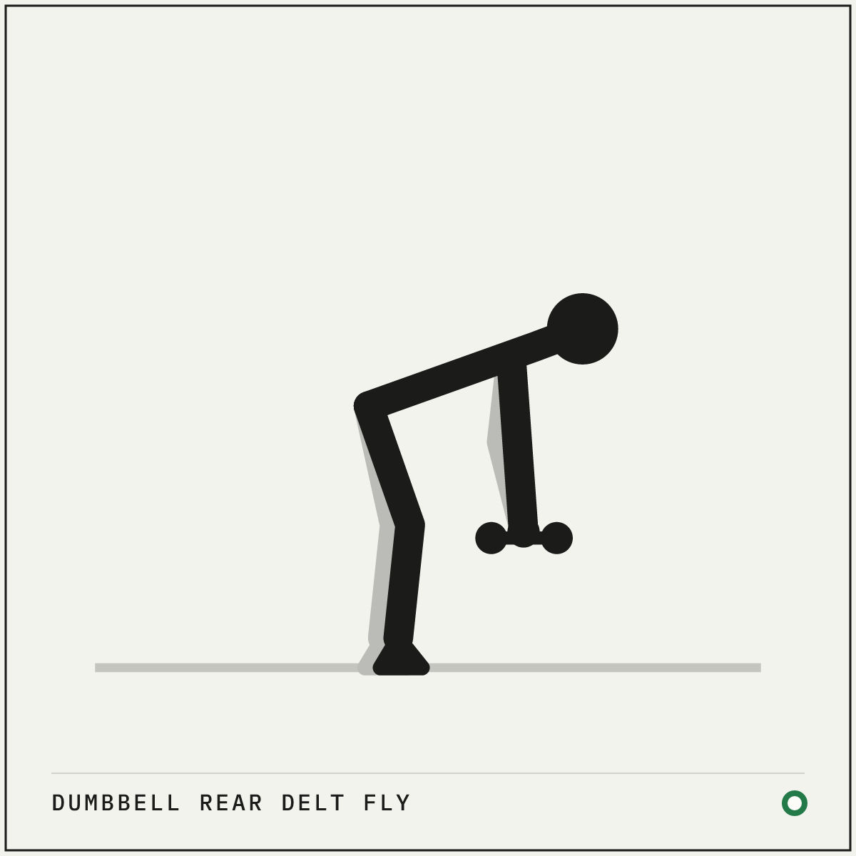 Dumbbell rear delt fly demonstration figure: Hold a light dumbbell in each hand and fold forward until your torso is close to parallel with the floor, knees softly bent.