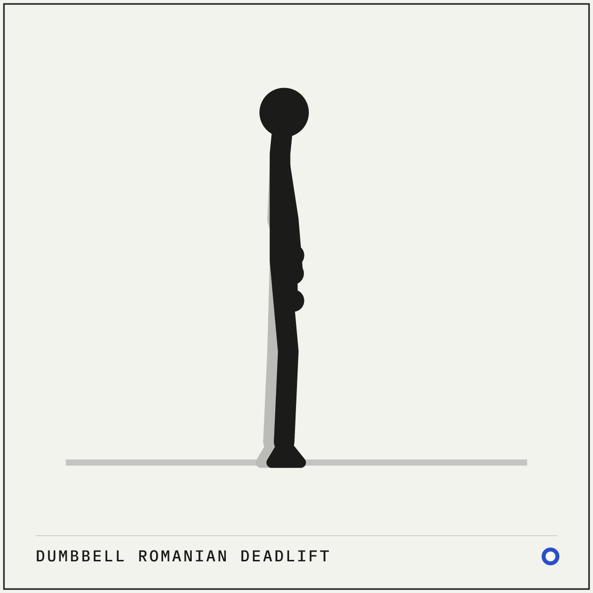 Dumbbell Romanian deadlift demonstration figure: Stand tall holding a dumbbell against the front of each thigh.