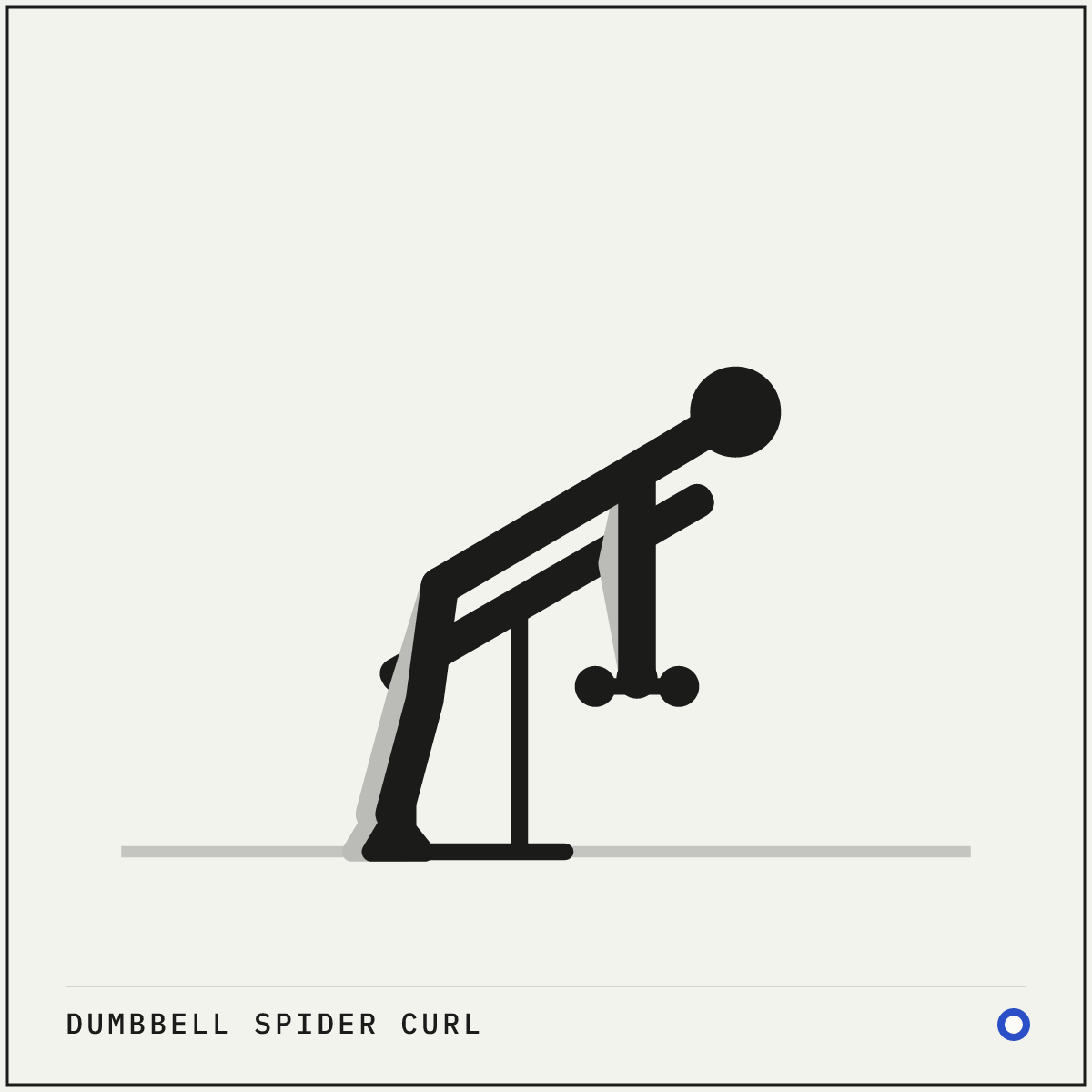 Dumbbell spider curl demonstration figure: Set a bench to about 45° and lie face down along it with your chest on the pad.