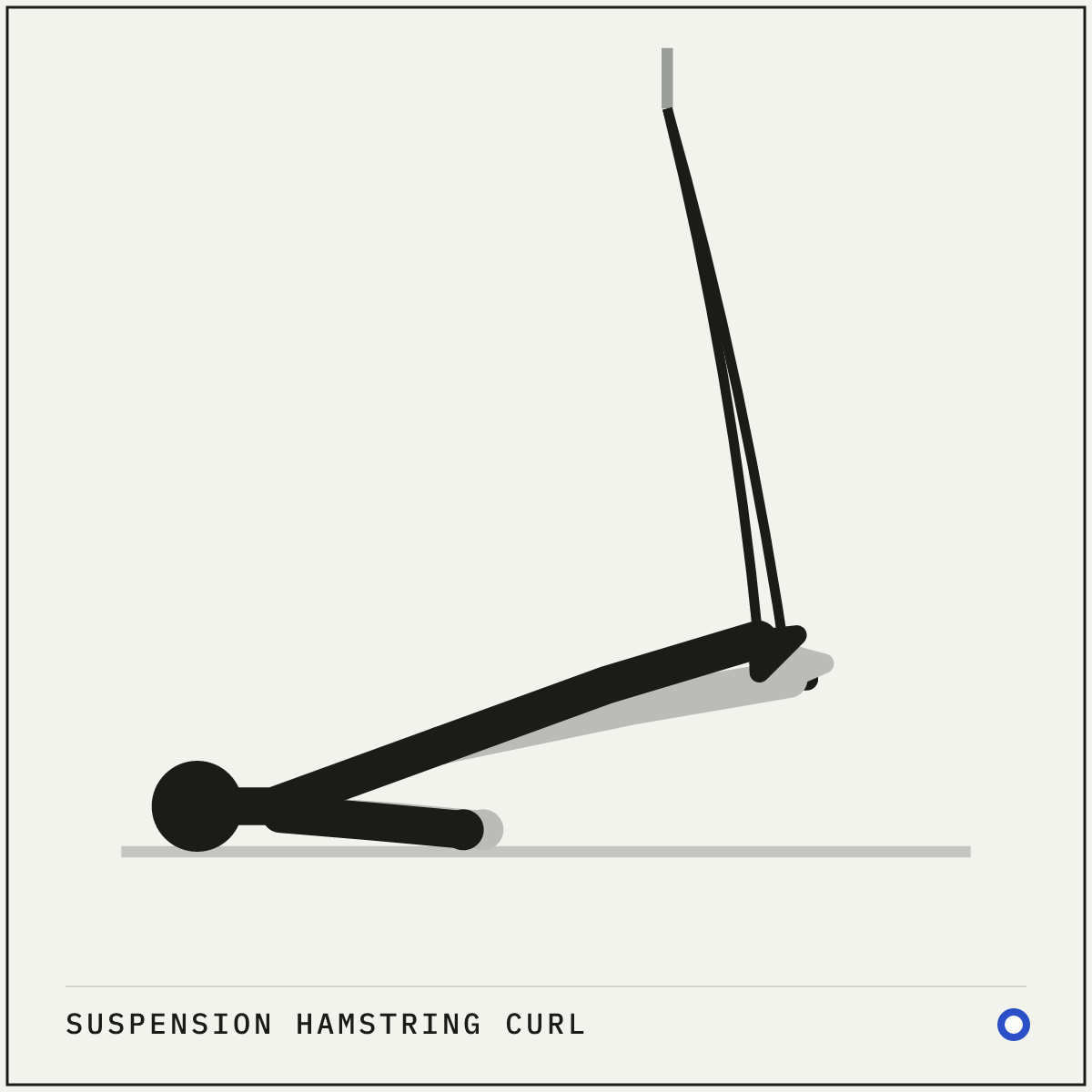 Suspension hamstring curl demonstration figure: Set the straps so the foot cradles hang about a foot off the floor.