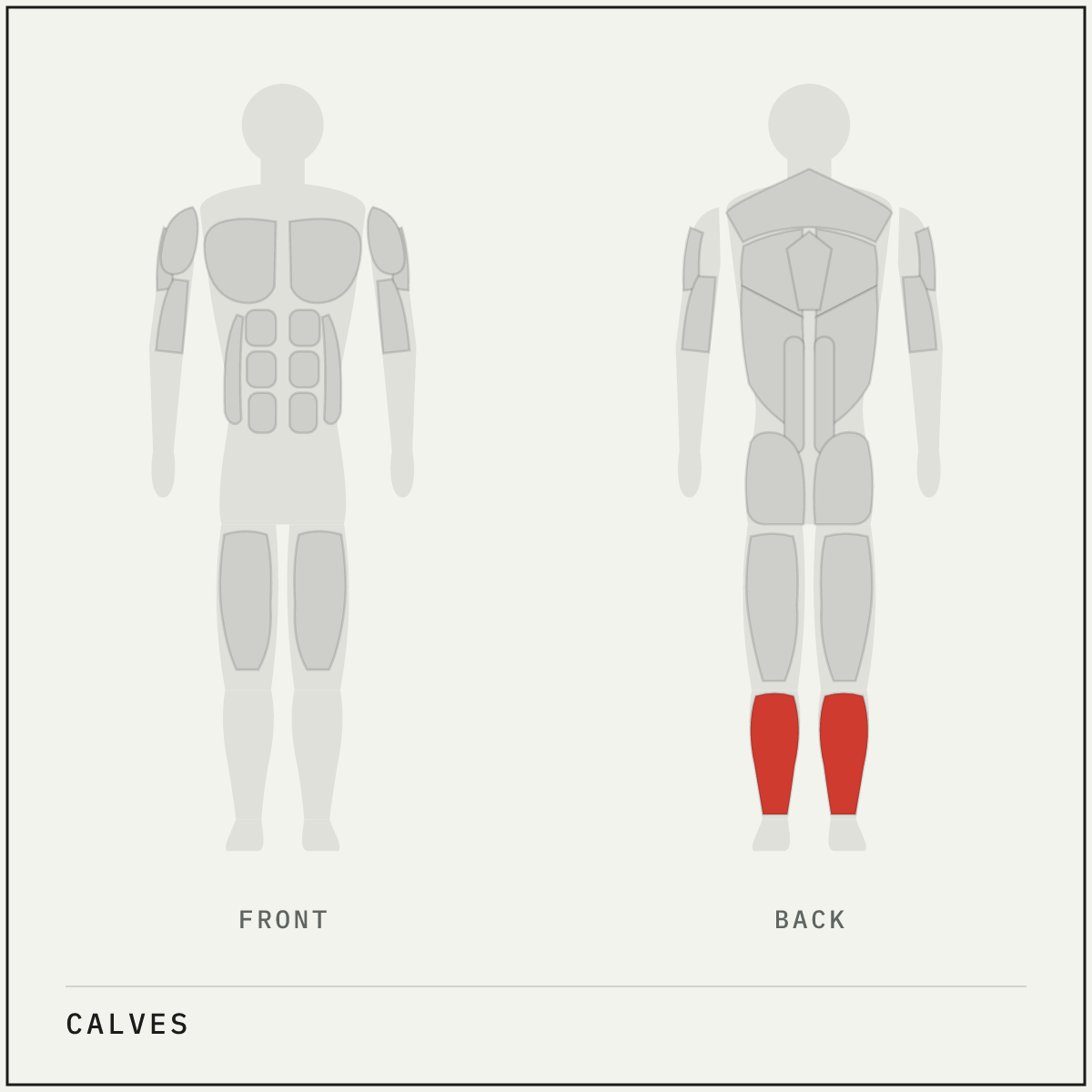 Muscle map highlighting the calves on a front and back body outline
