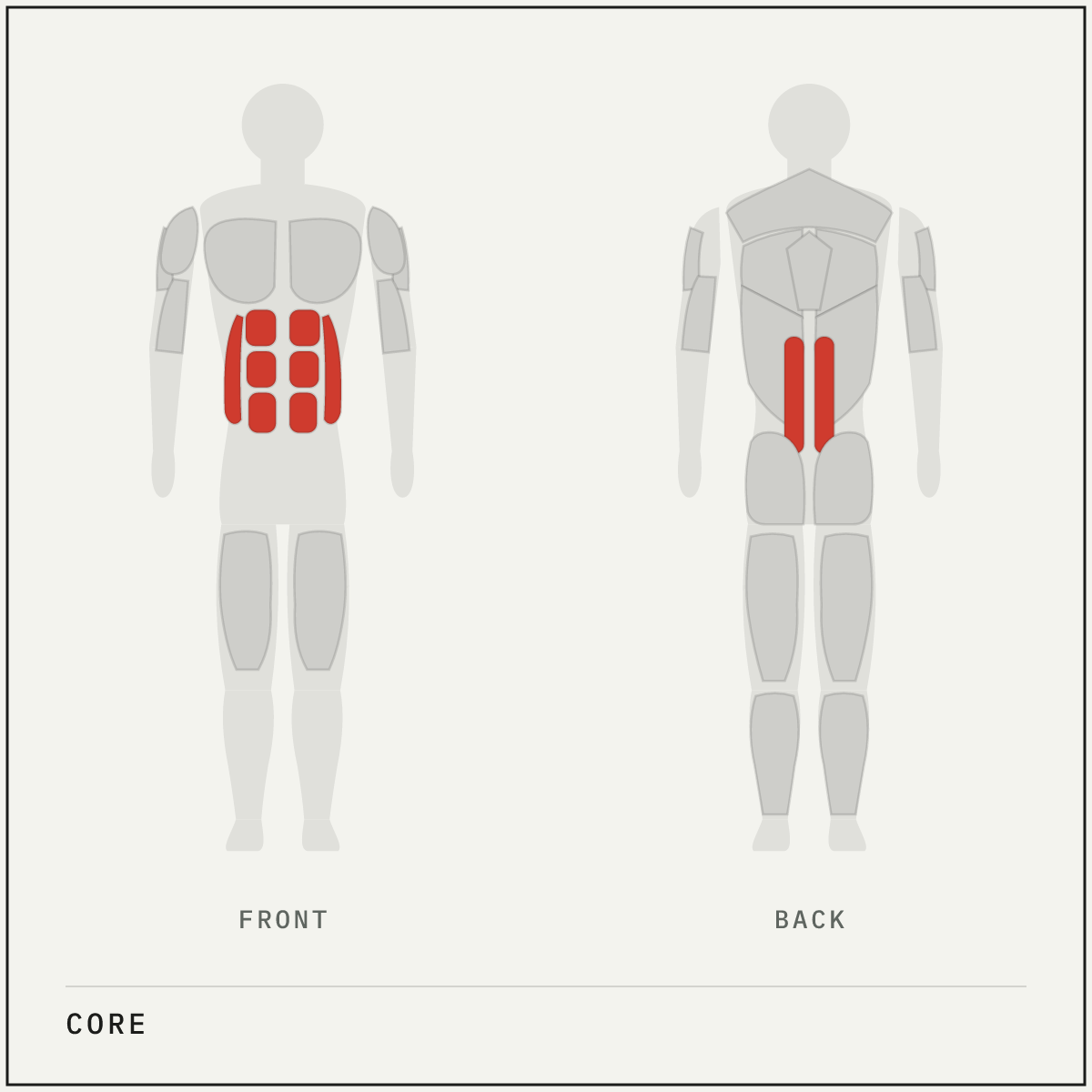 Muscle map highlighting the core on a front and back body outline