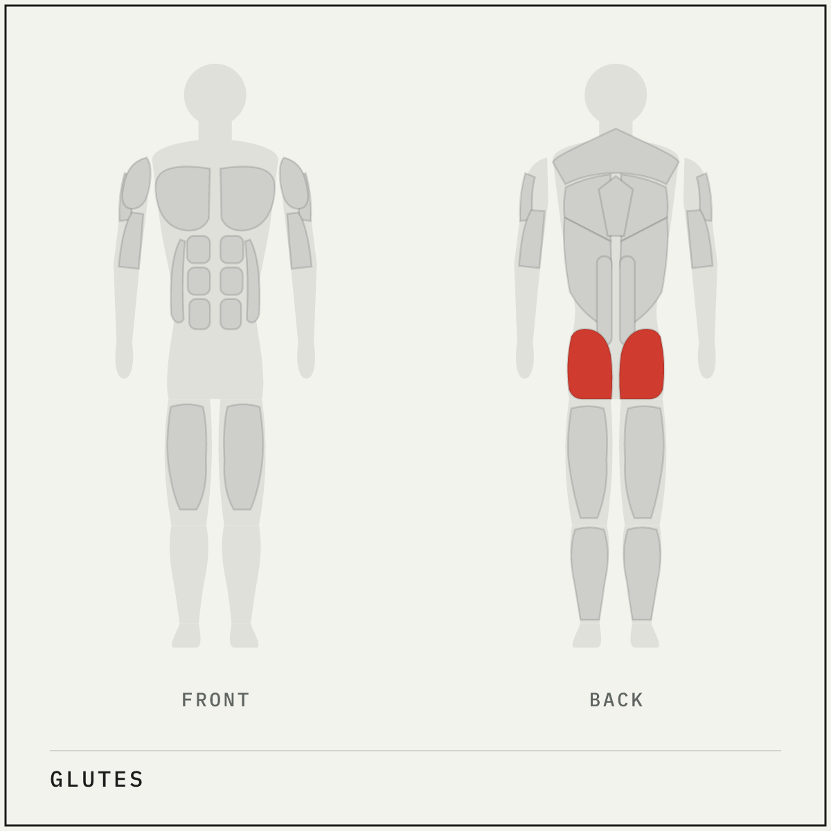 Muscle map highlighting the glutes on a front and back body outline