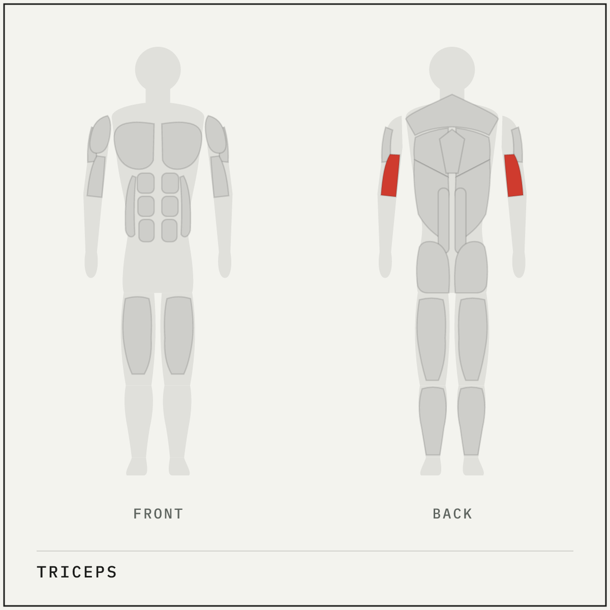 Muscle map highlighting the triceps on a front and back body outline